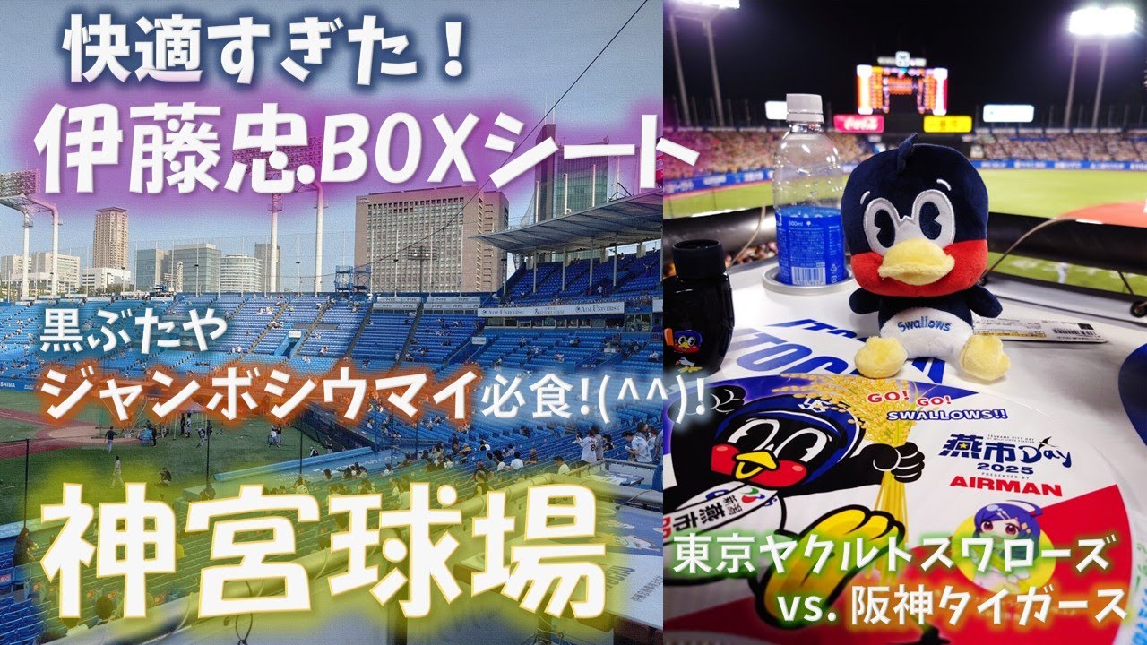 【野球vlog】伊藤忠BOXシートで贅沢観戦！神宮球場グルメ食べまくり＆夏の花火も満喫！内山壮真の明太子釜玉うどん・黒ぶたやジャンボシウマイ・リンゴシェイクでお腹も心もいっぱい！