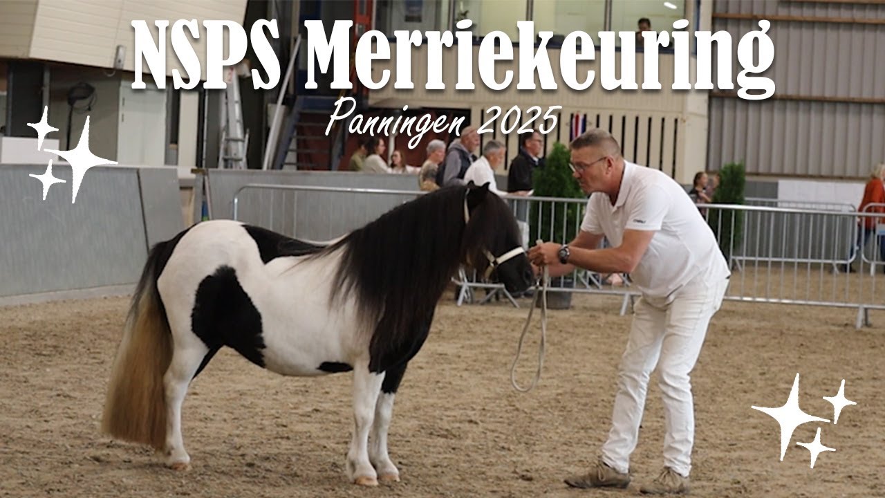 NSPS Shetlandkeuring Panningen 2025