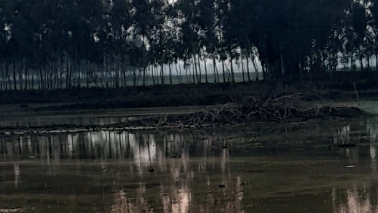 অনেক দিন পর লাইভে প্রাকৃতিক সৌন্দর্য তুলে ধরতে।