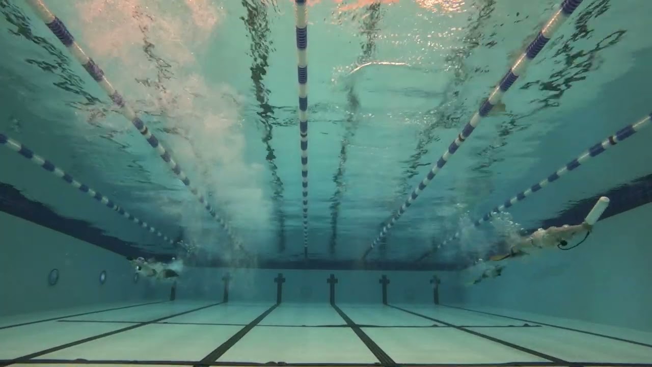 Immersion rpa
