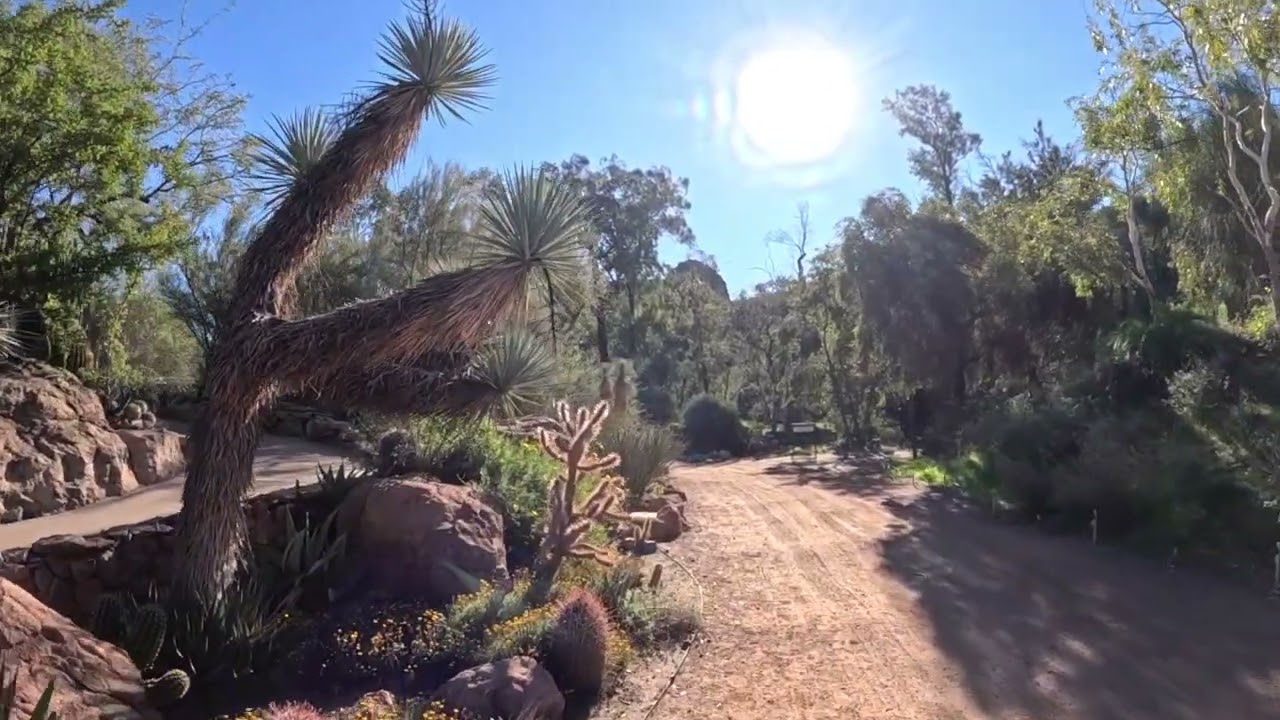 Arboretum EXP