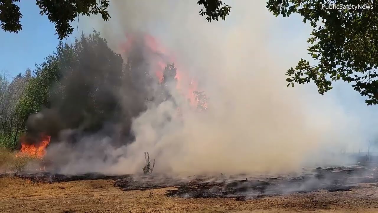RAW: Firefighters Extinguish Grass Fire on Lower American River Parkway | Sacramento