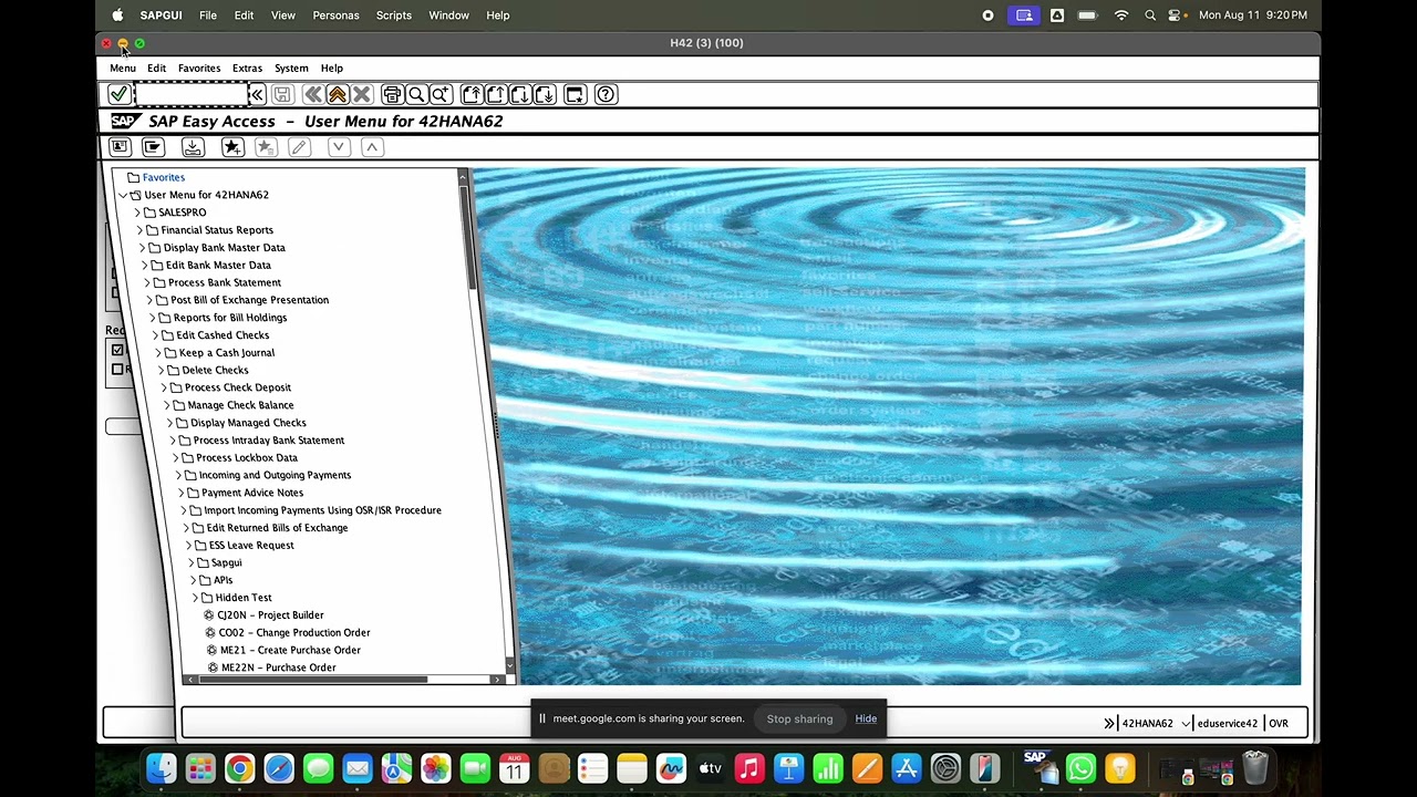 Self learning SAP MM Class videos from RD: Good Receipt Process. How the ML effected in GR process