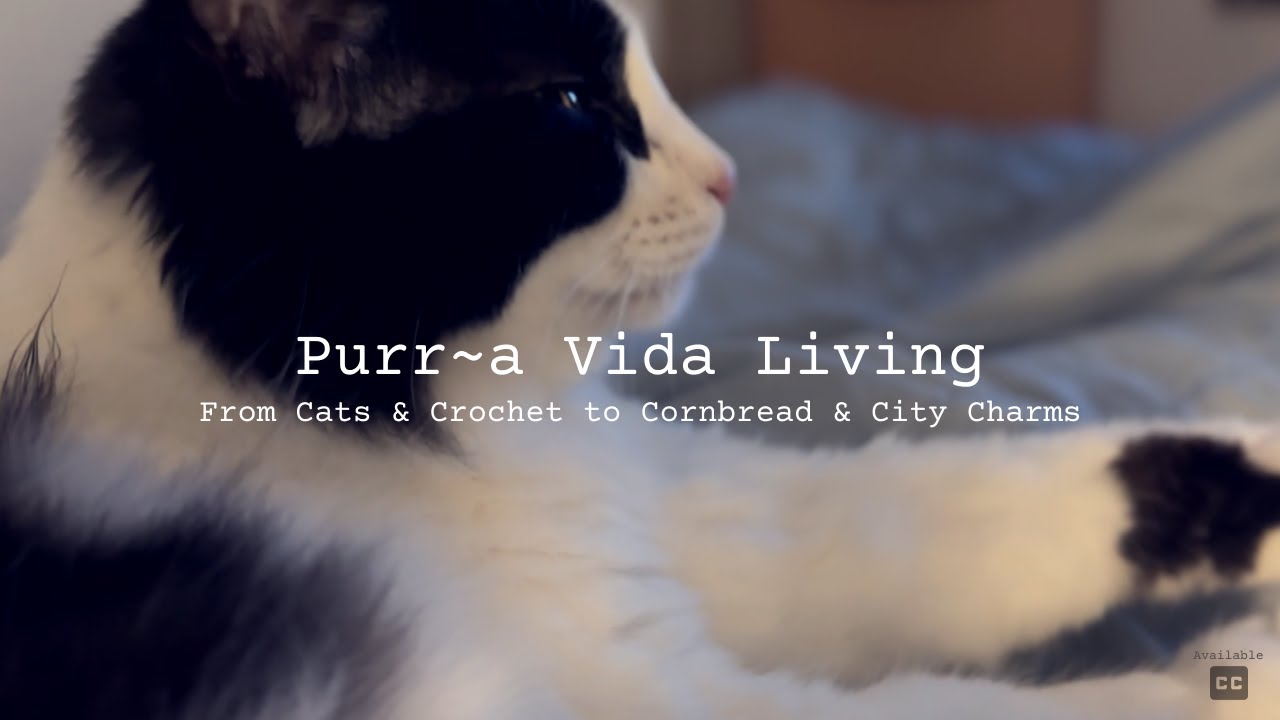 From Cats & Crochet to Cornbread & City Charms | Slow Living Costa Rica