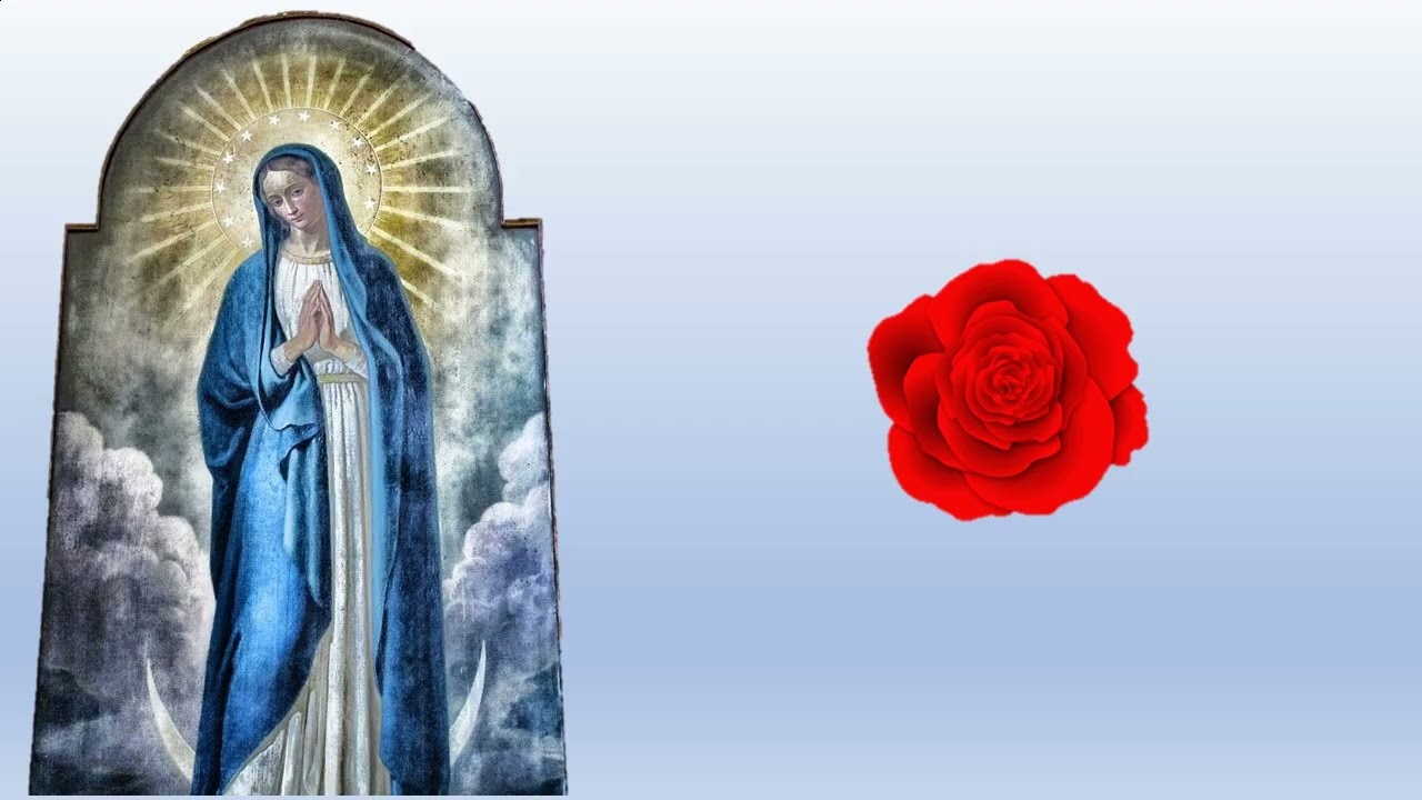 Santo Rosario Sábado 31 de enero 2026