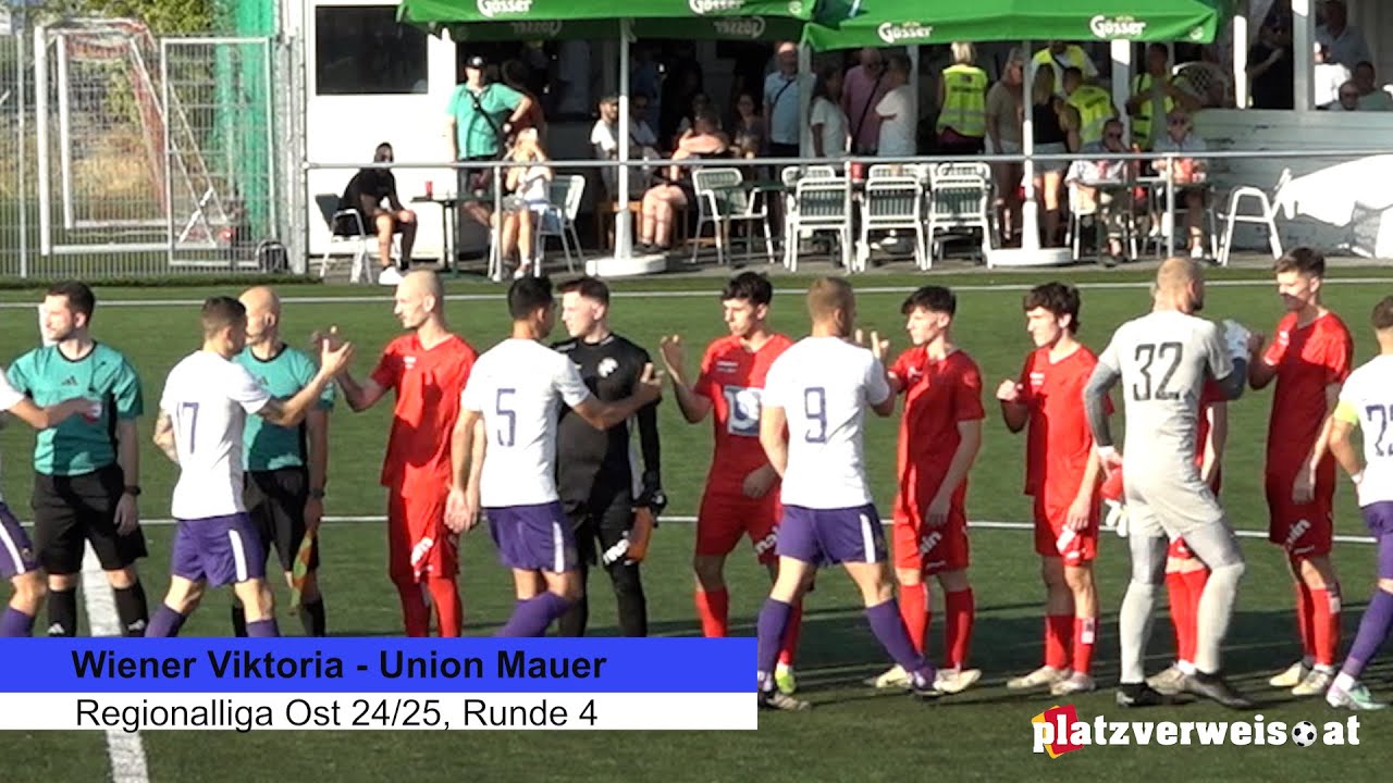Highlights Wiener Viktoria - Union Mauer, Regionalliga Ost 24/25