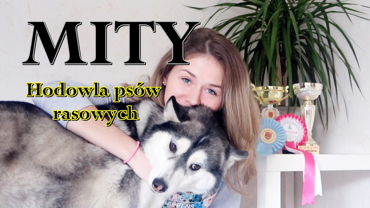 MITY - hodowla psów rasowych