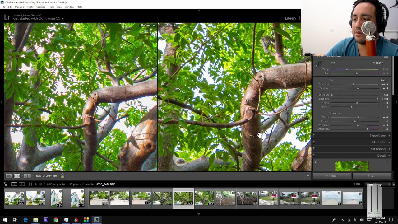 LG V30 vs DSLR Raw Photos