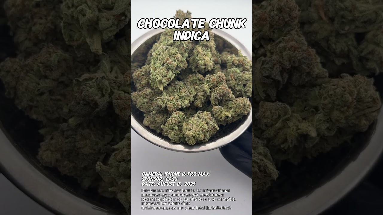 Chocolate Chunk | Gasu Sponsored | Strain Spotlight