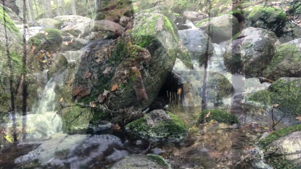Huilu ja puro