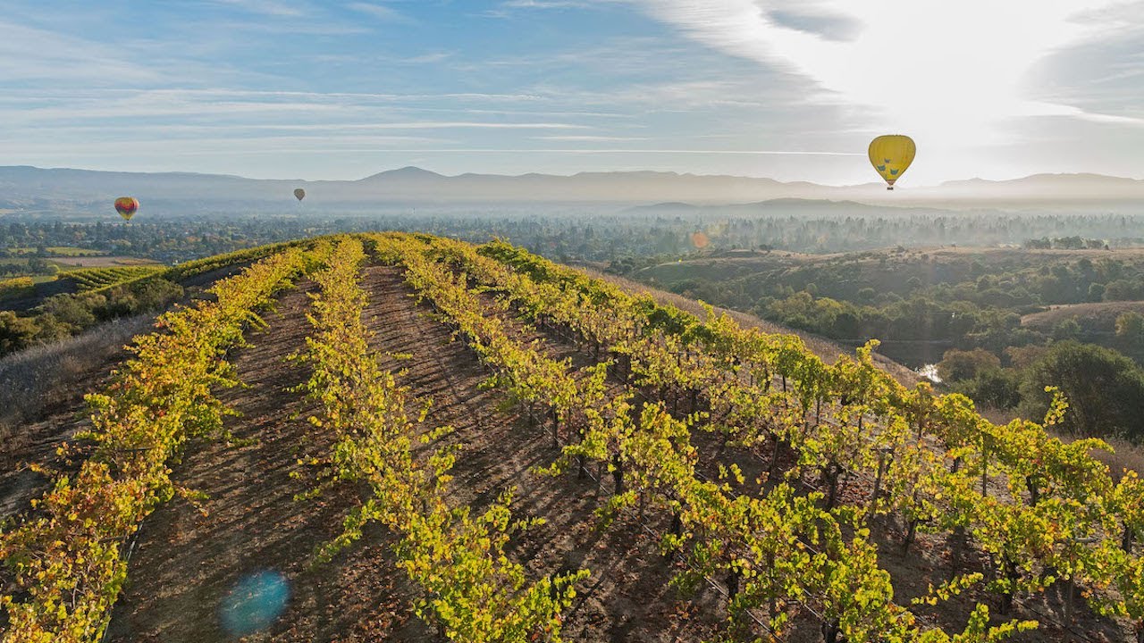 California Masters of Wine Tour 2018