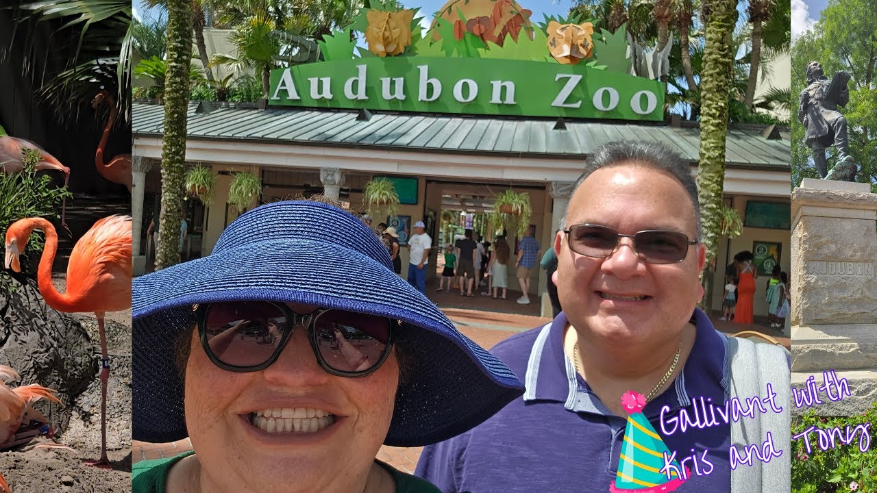 Audubon Zoo in New Orleans!