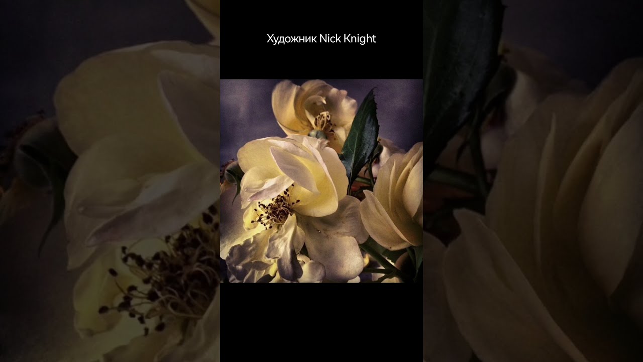 #художник Nick Knight #вдохновение #flowers #stilllife #painting #art #nature