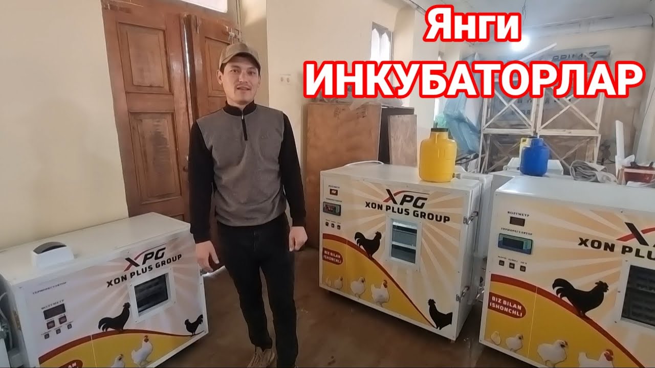Уй шароитида кушимча бизнес янги афтомат инкубаторлар сотилади