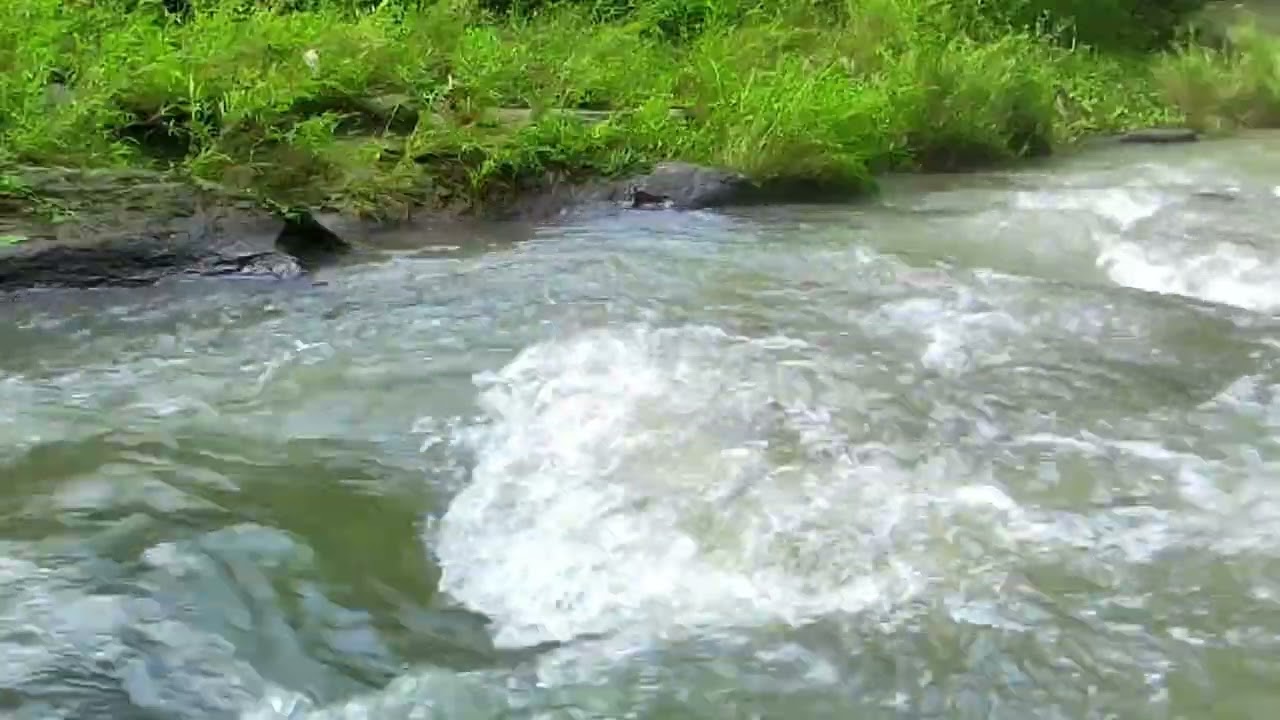 The Sound of Flowing Water is Relaxing and Calming | River Sound