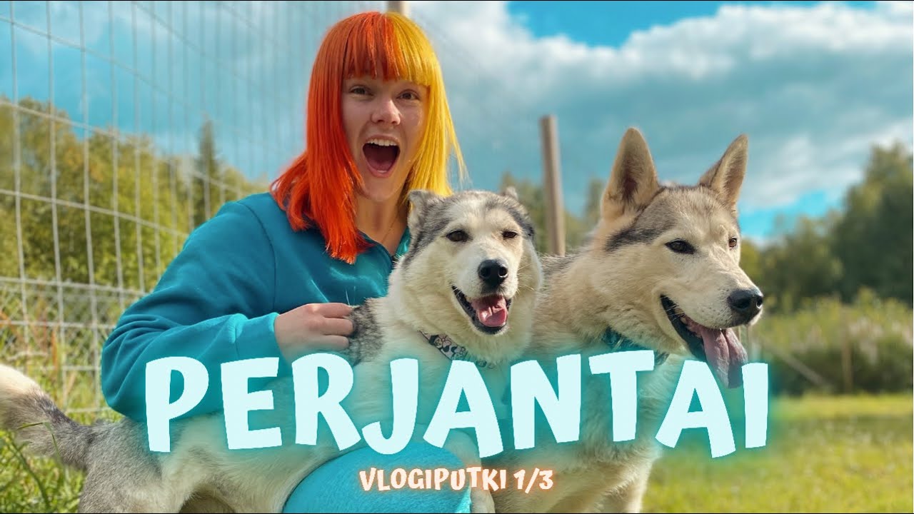 MUN VIIKONLOPPU 1/3 (vlogiputki)
