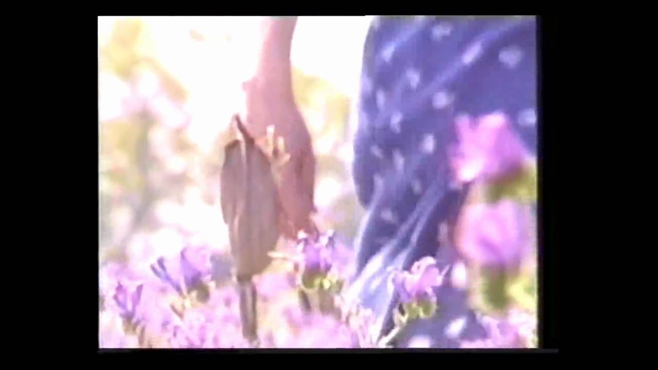 Guillermo Guido- Un querer como el tuyo (Clip oficial) EMI.