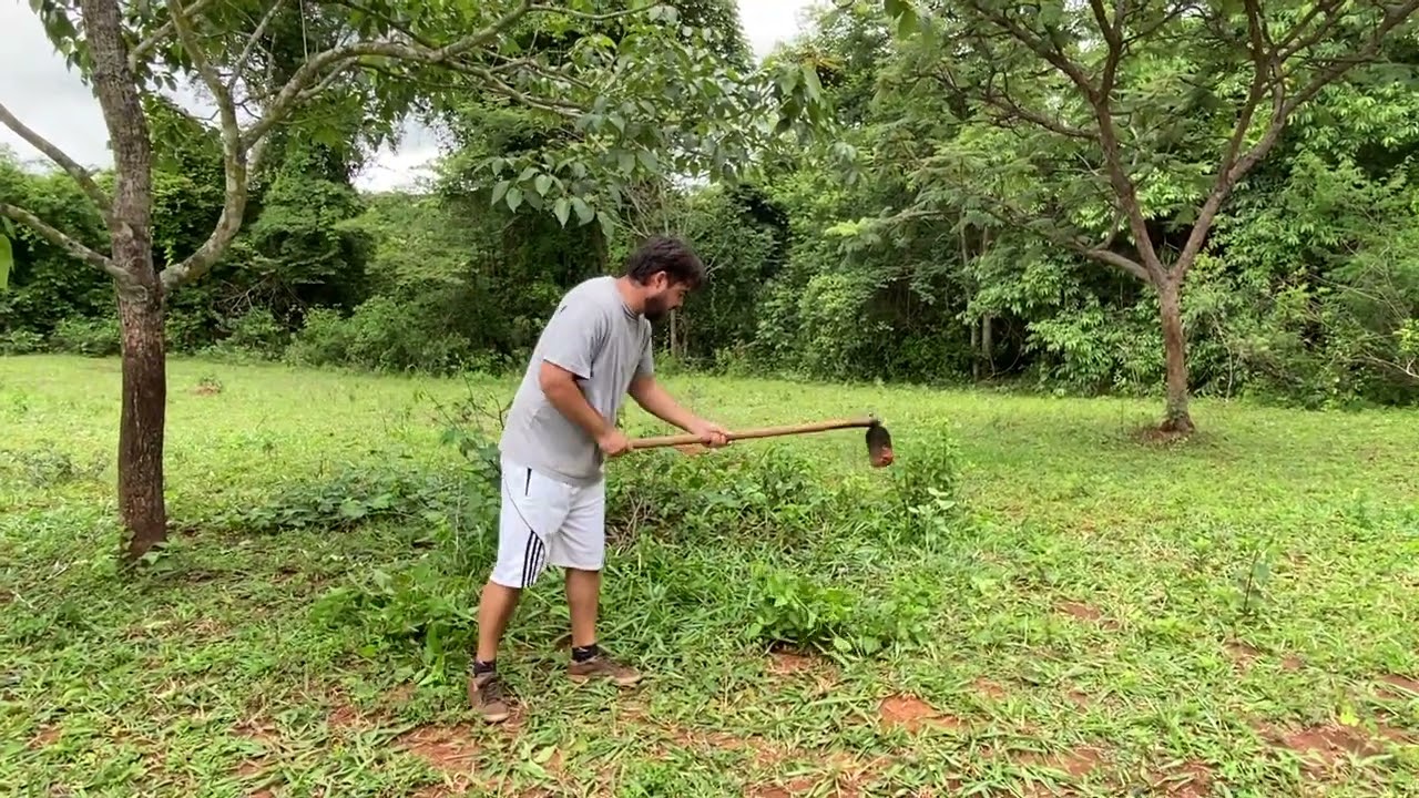 Limpando o pasto 👨‍🌾😅