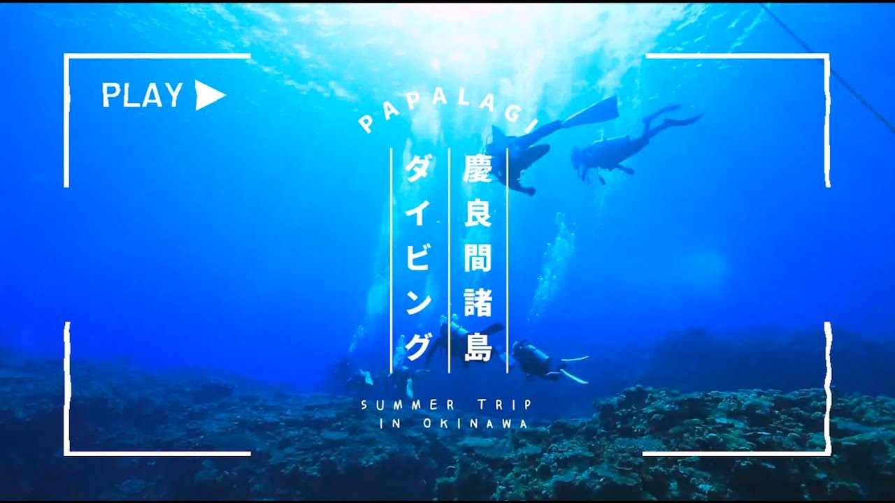 【Vlog】沖縄・慶良間（ケラマ）諸島で絶景ダイビング