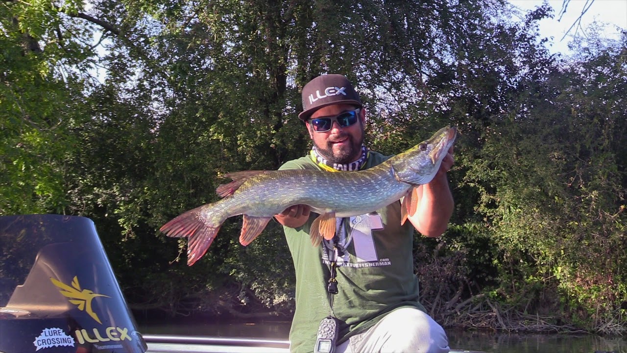 Fédération de Pêche de la Haute-Saône