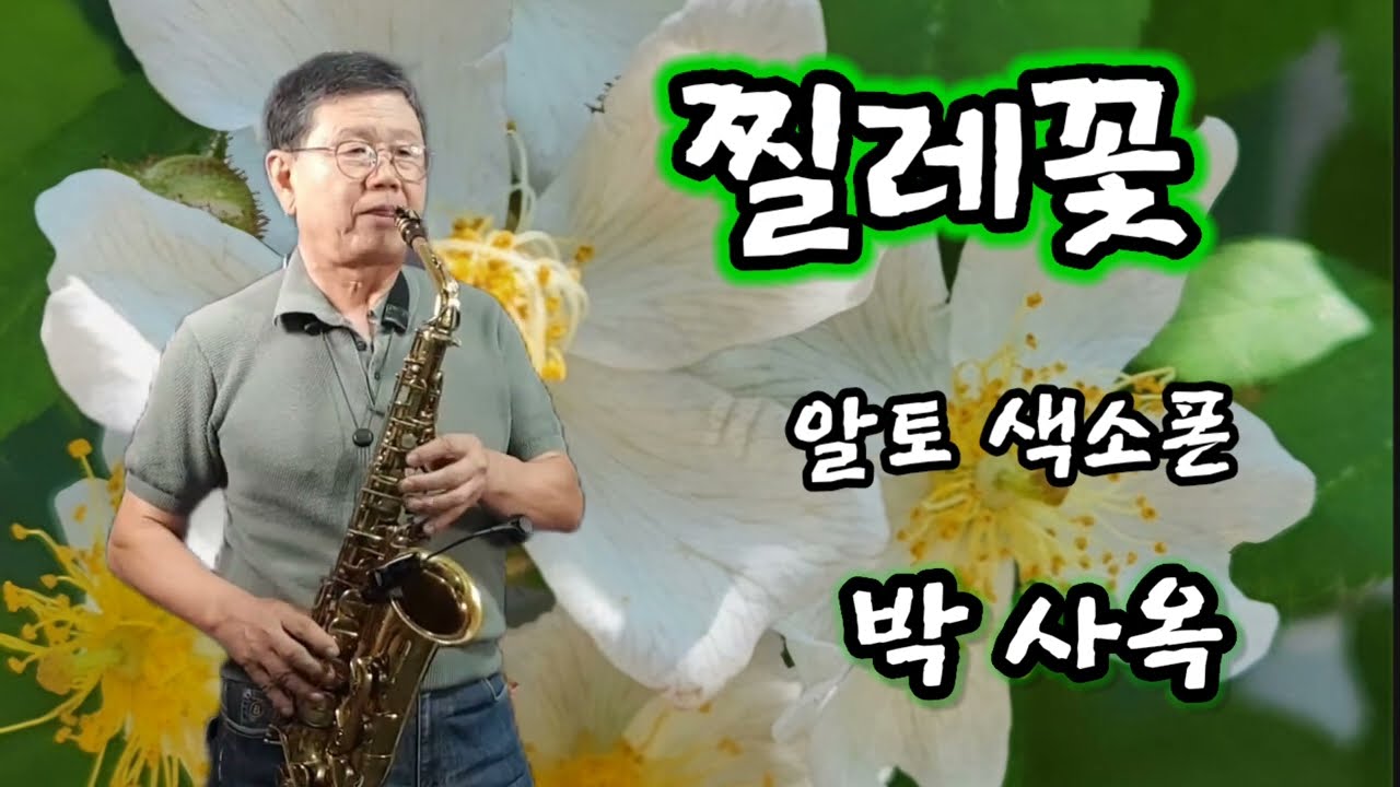 찔레꽃(백난아)/알토색소폰/박 사옥
