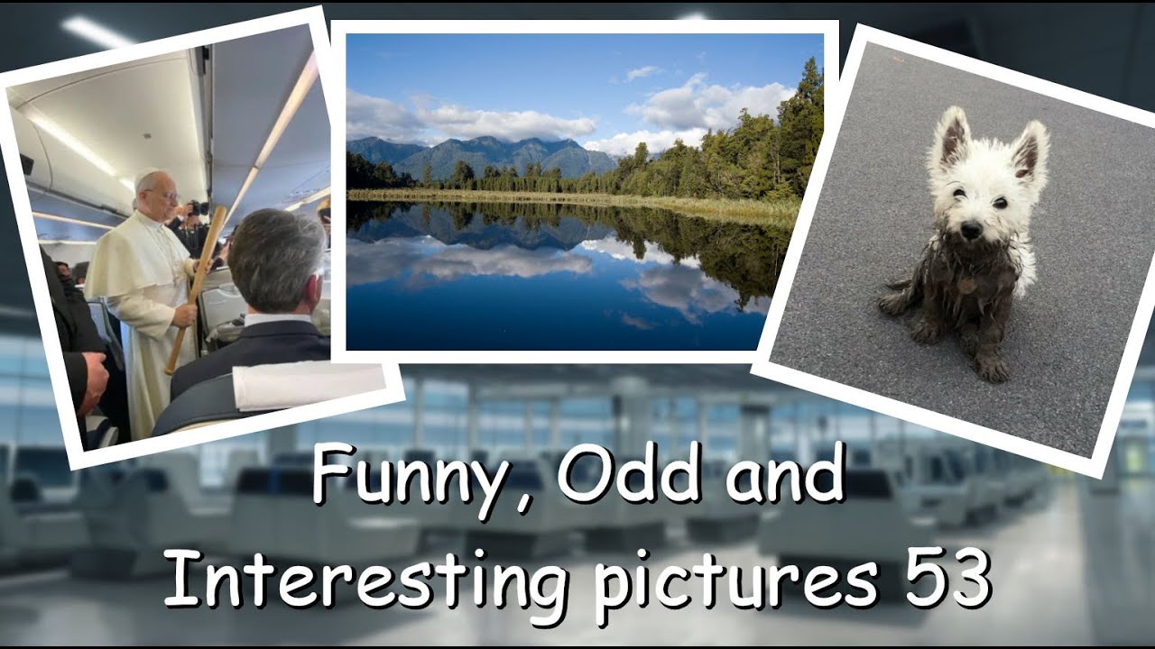 Funny, Odd, Interesting Pictures Video 53