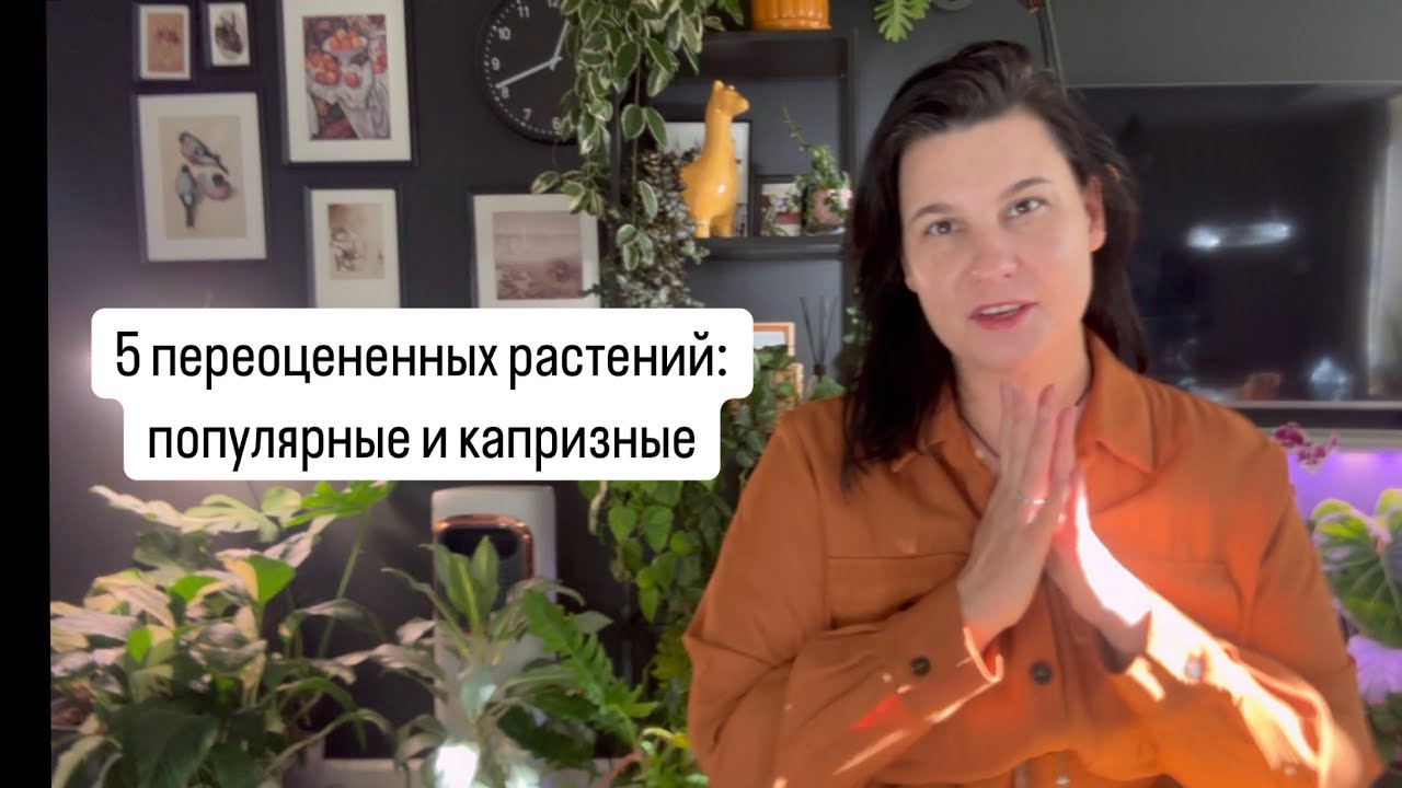 5 переоцененных растений: капризные и популярные