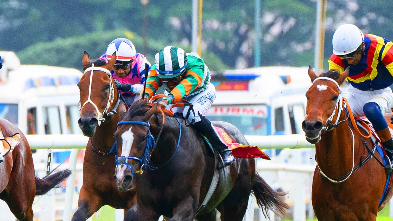 Colts Championship Stakes 2025 Winner | Sovereign King