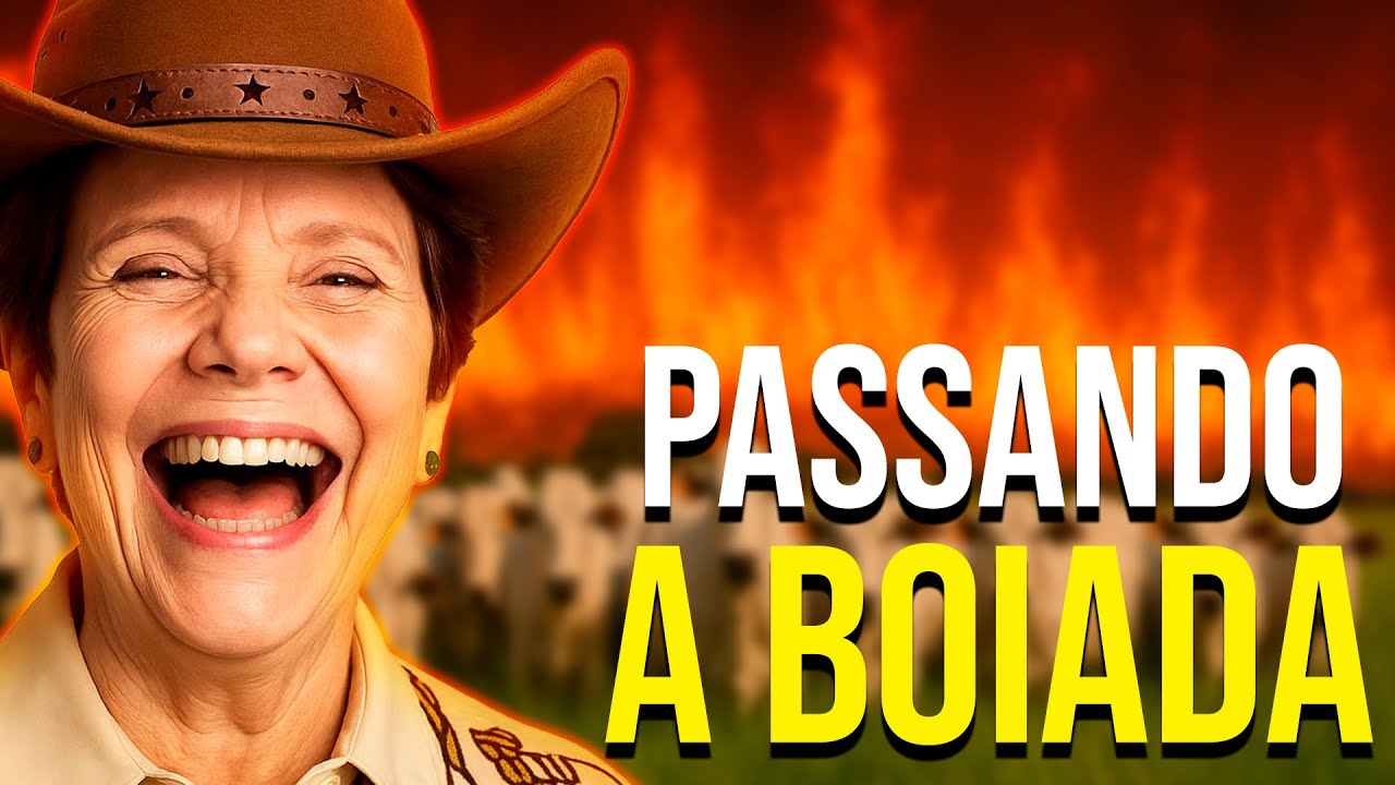 PL da DEVASTAÇÃO: Senado aprova lei que flexibiliza desmatamento em prol do AGRONEGÓCIO. Entenda!