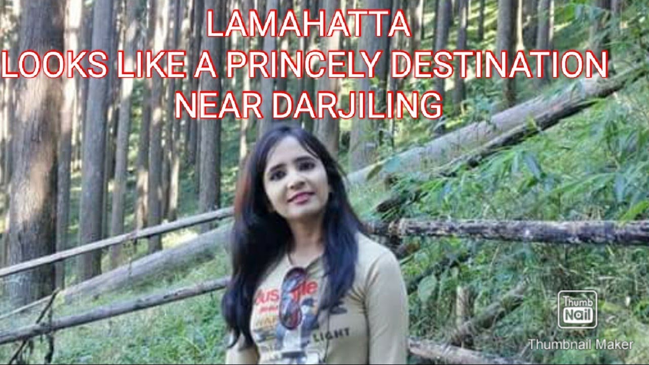 Lamahatta/A great offbit destination in Darjiling/ Heart touching Natura beauty#lama #park