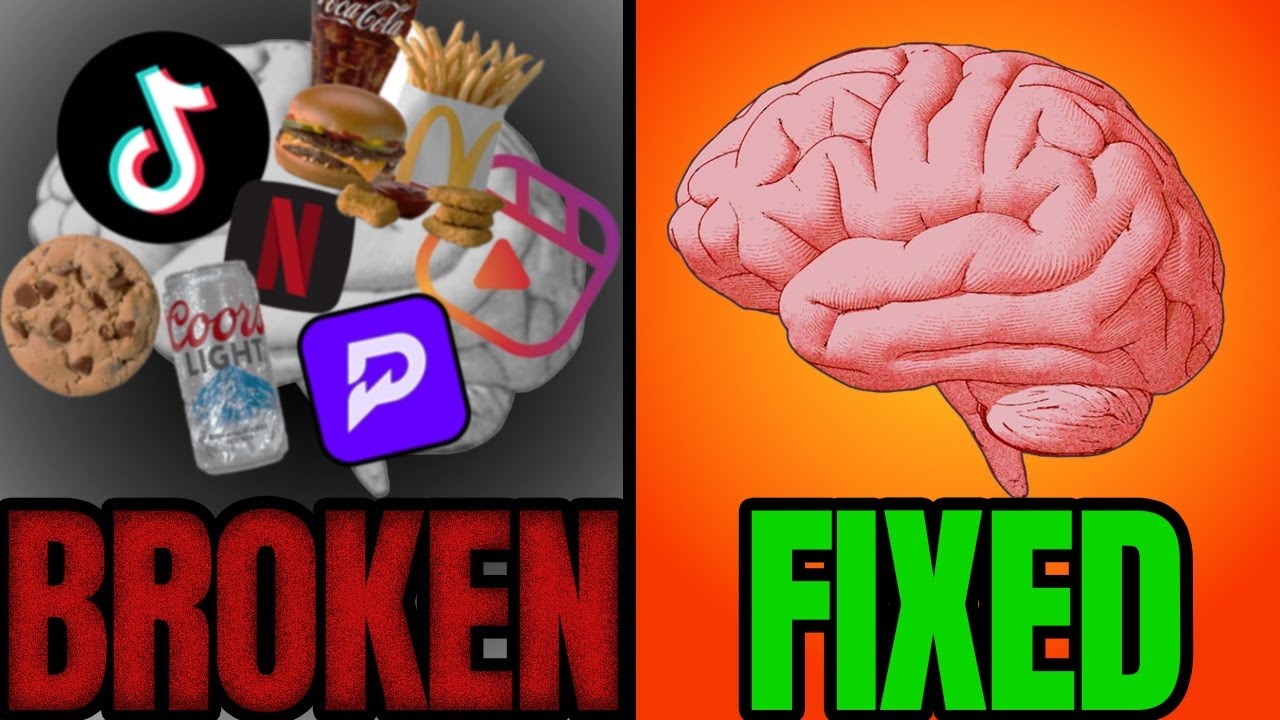 You're Not Broken. Your Dopamine System Has Been Hijacked.