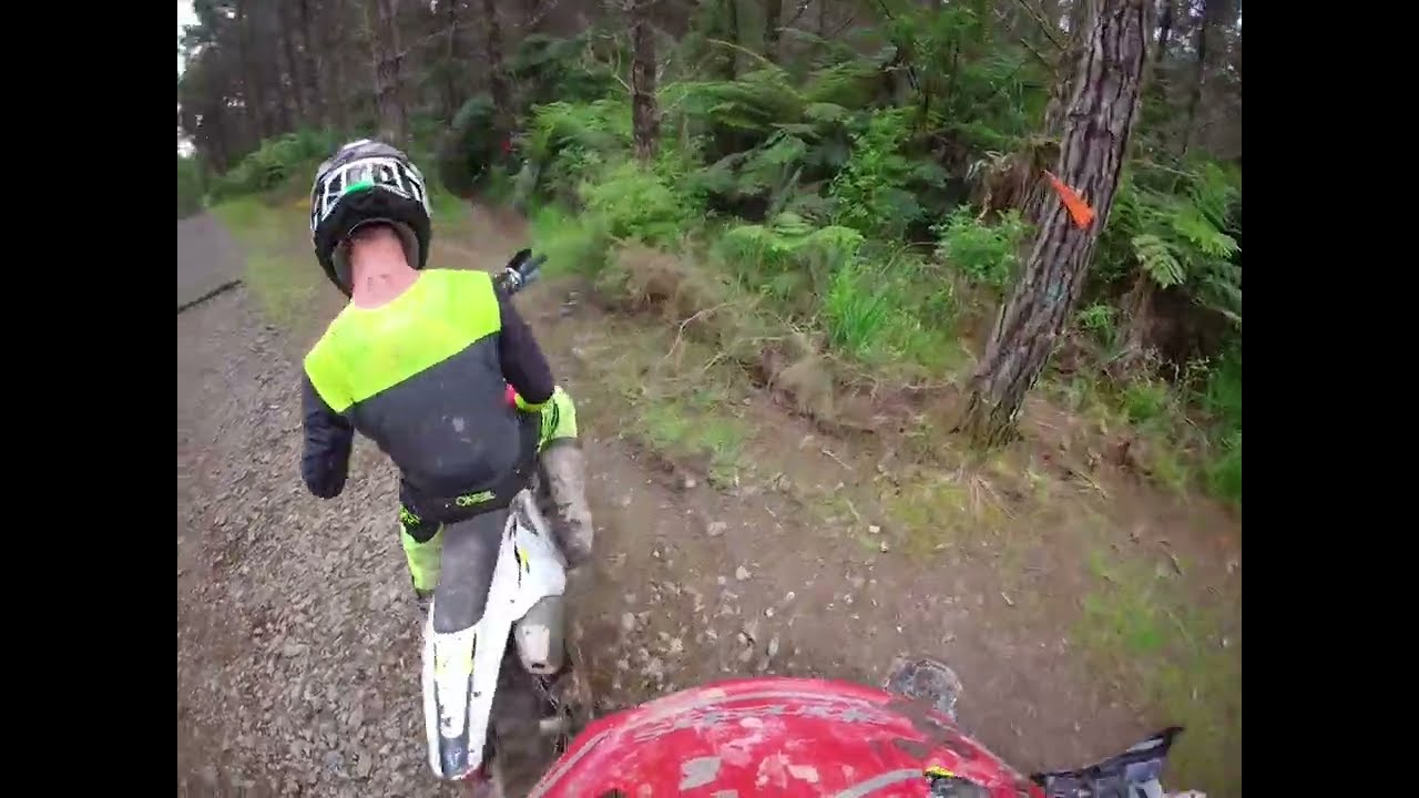 Ripping a Triumph TF250-E in Riverhead Forest