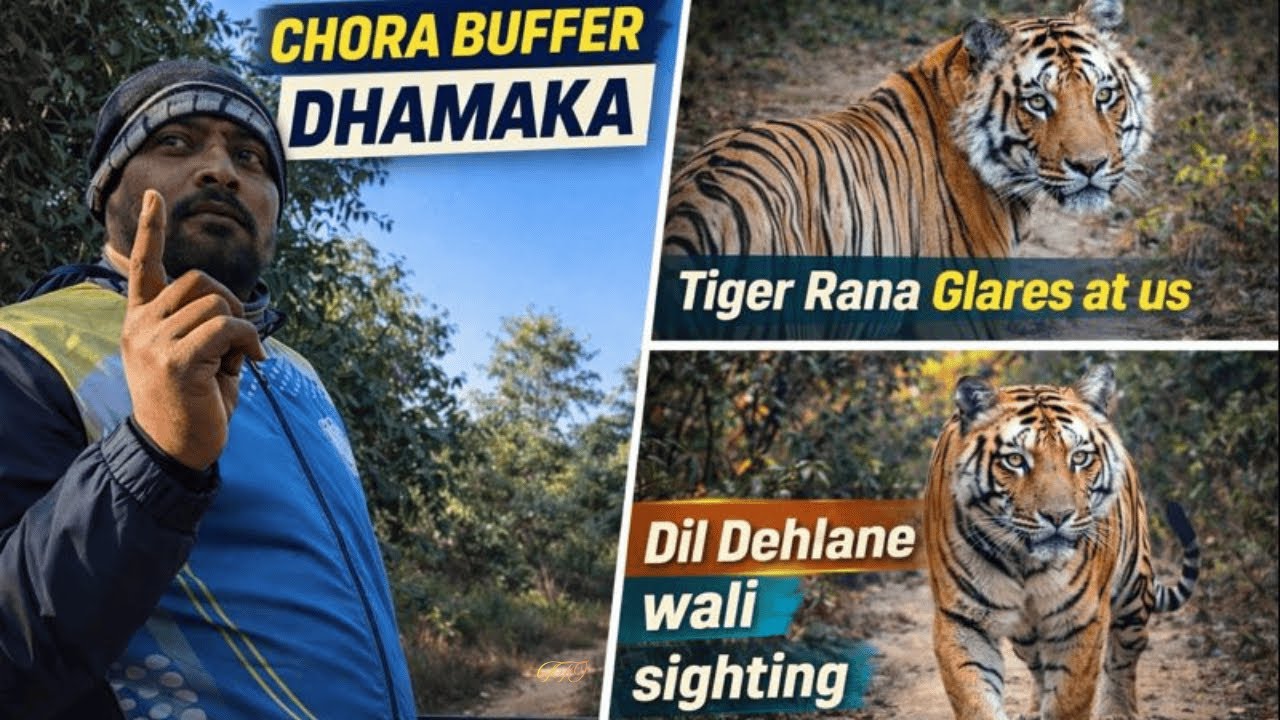 Chora Buffer Dhamaka | Saans Mein Dhundh… Aankhon Mein Shikaar 🐅🌫️ | Tiger Rana ka Ghost Walk 👑