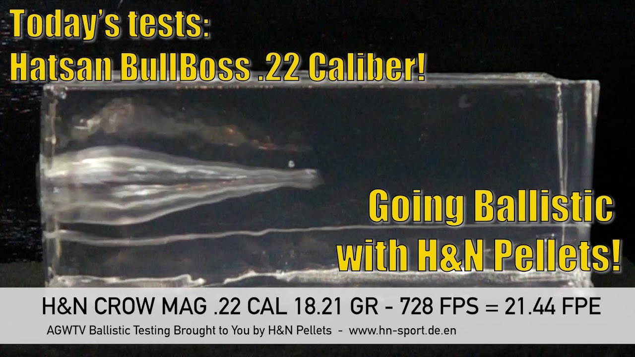 Going Ballistic - Hatsan BullBoss Bullpup .22 Caliber - AirgunWebTV Sponsored by H&N Pellets!