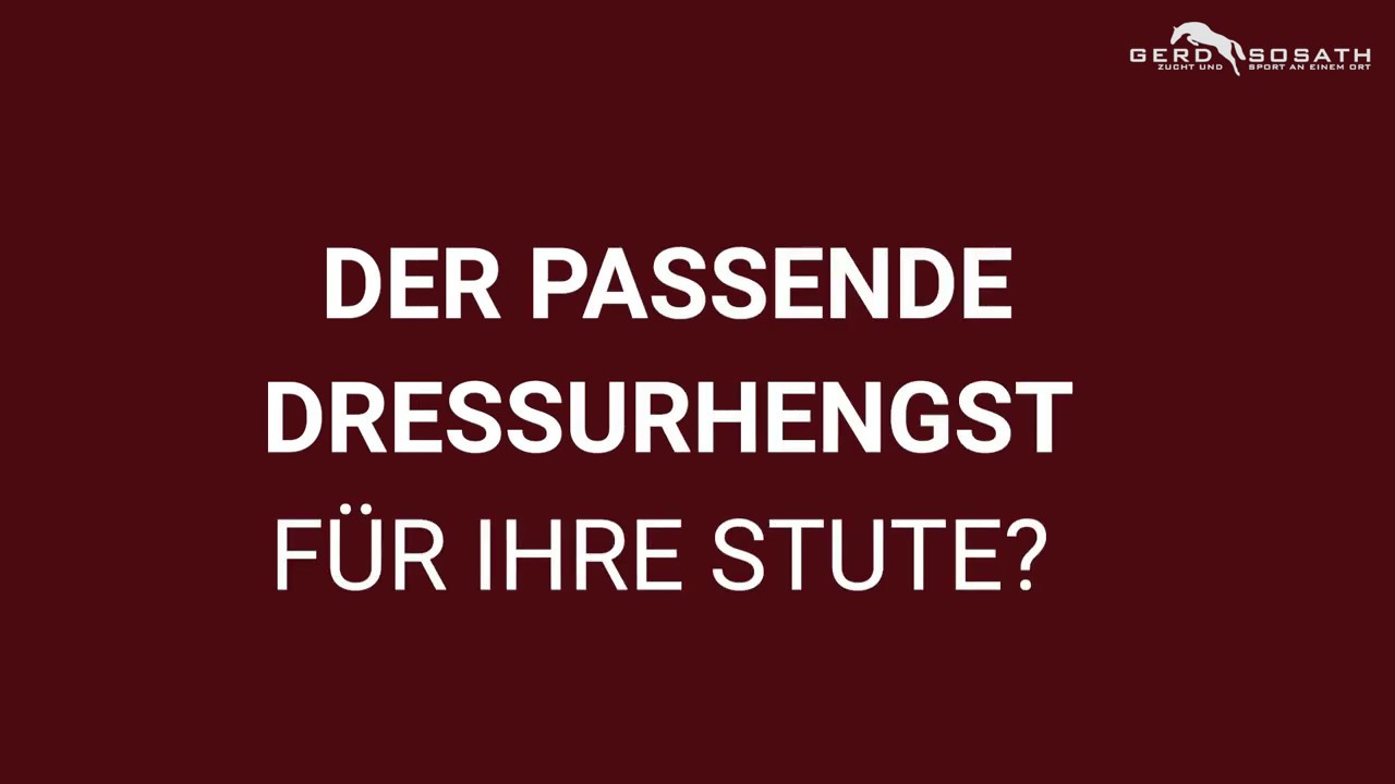 Der passende Dressurhengst für Ihre Stute
