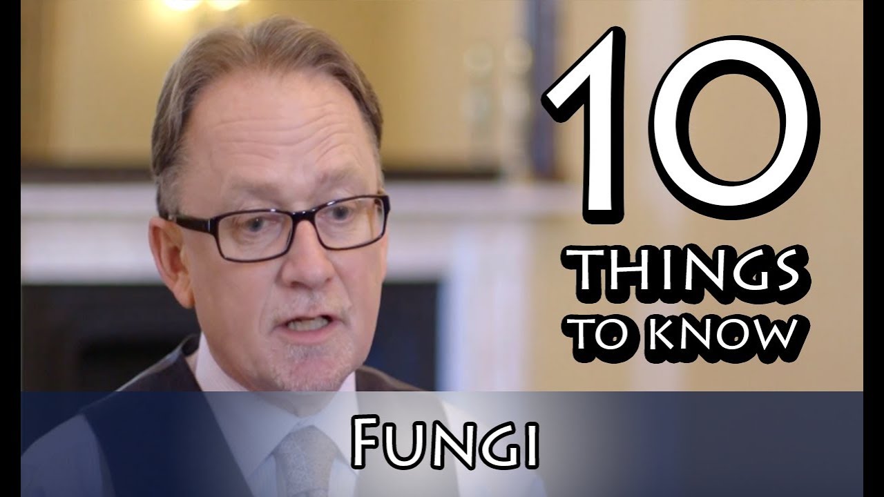 Fungi: A Very Short Introduction | Nicholas P. Money