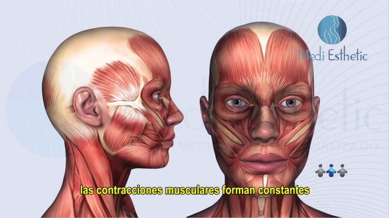 ¿Cómo funciona la Toxina Botulínica? Mejor conocida como Botox