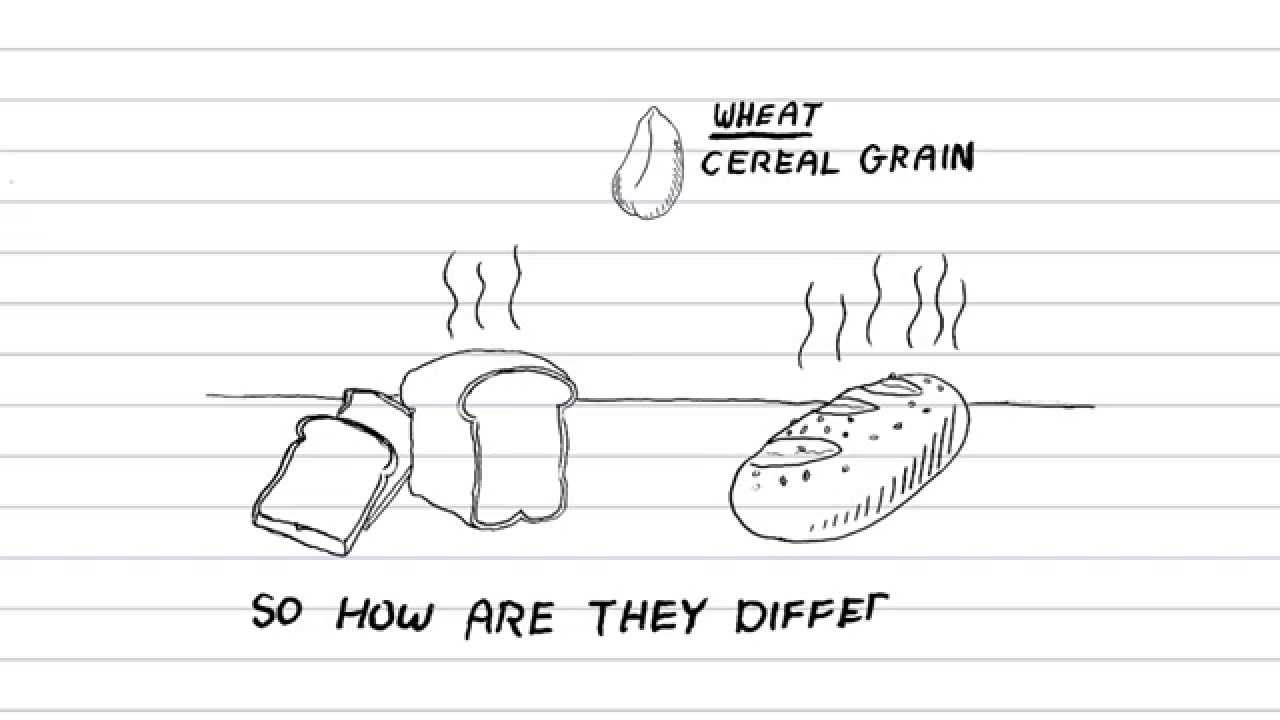 White Bread Vs Whole Wheat (Grain): Whats healthier?, Whats the difference?