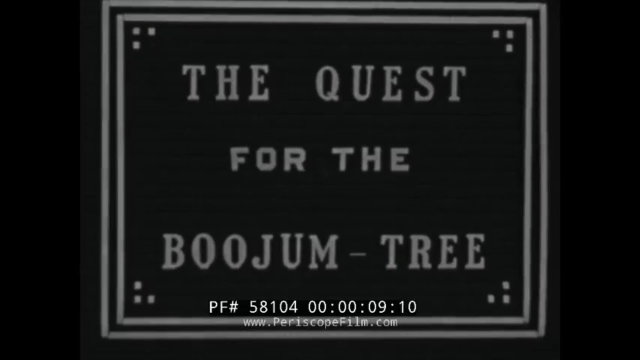 1920s ARIZONA TO MEXICO TRIP -- HOME MOVIE  MAKING TEQUILA  58104
