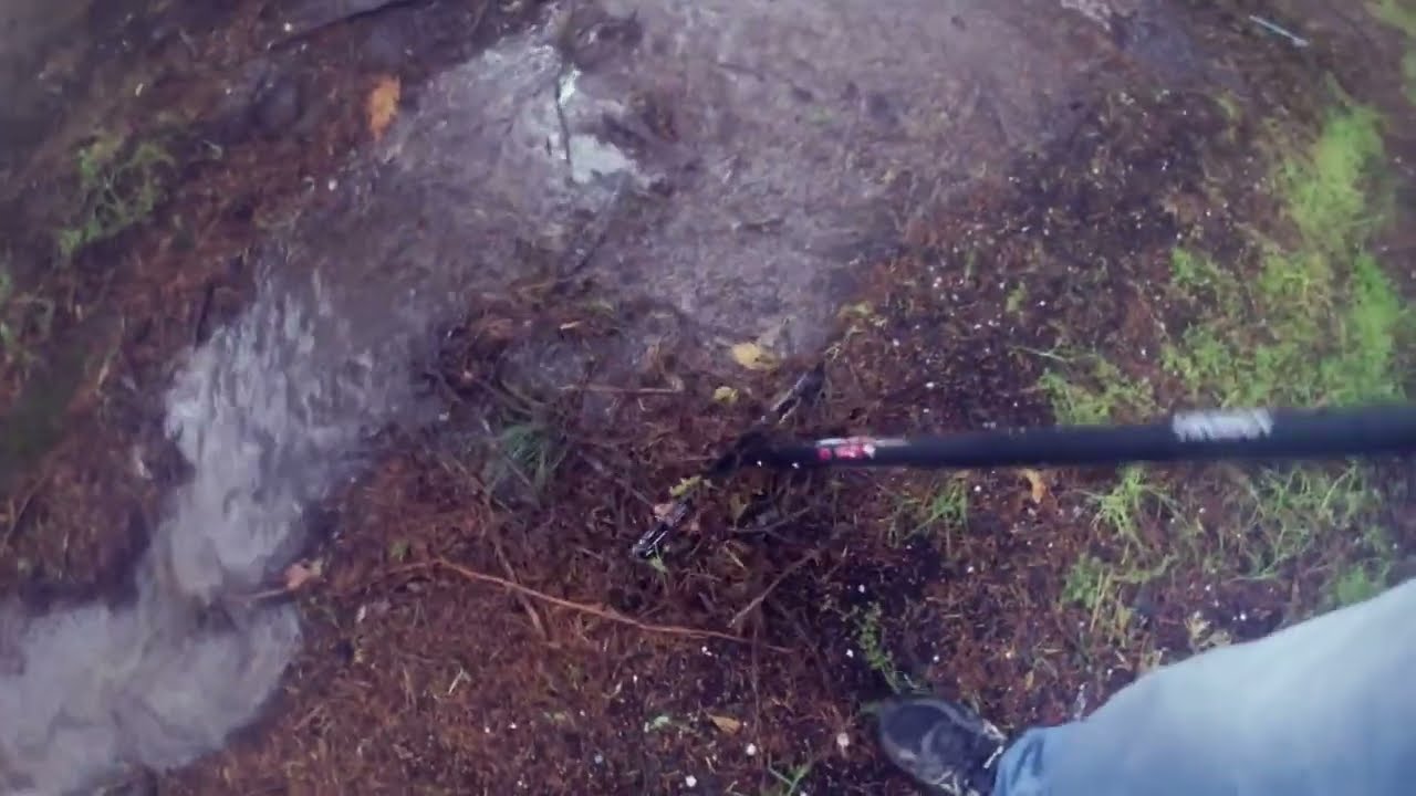 A long road side drain blocked by pine needles threatening to flood the street