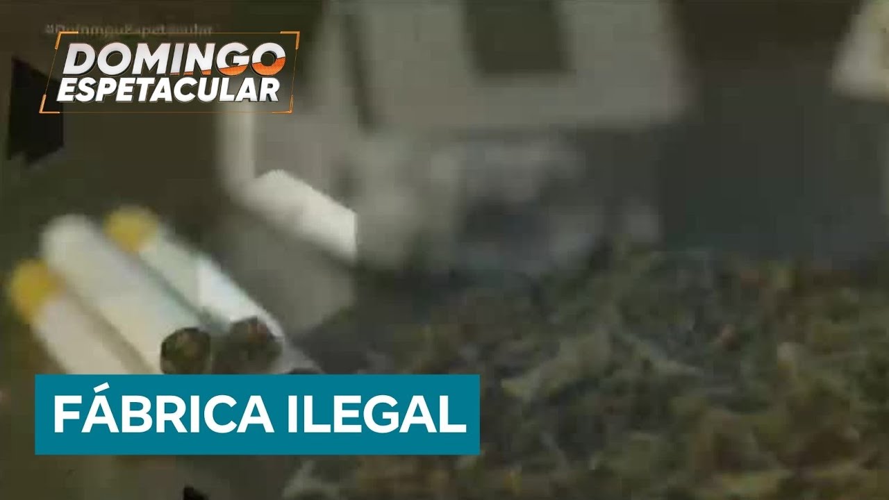 Explorados por esquema criminoso, paraguaios trabalham em produção clandestina de cigarro no Brasil