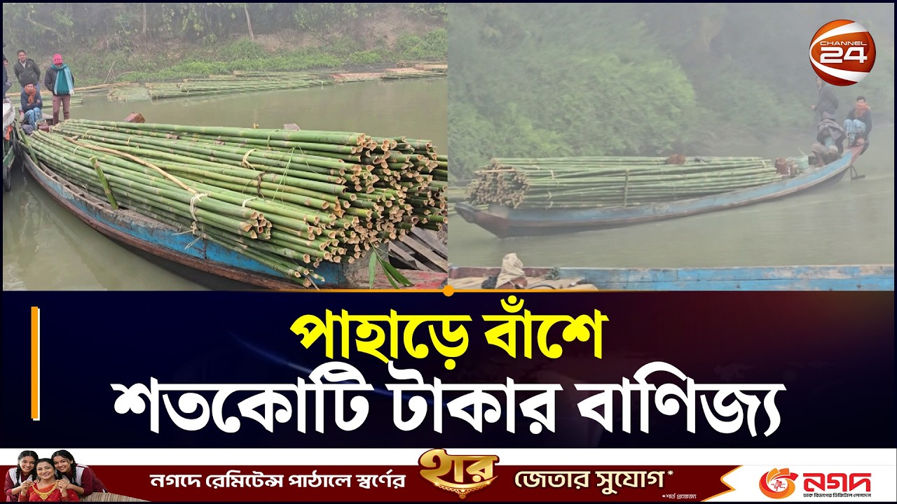 রাঙ্গামাটিতে বাঁশে শতকোটি টাকার বাণিজ্য | Rangamati Bamboo Business | Chattogram 24
