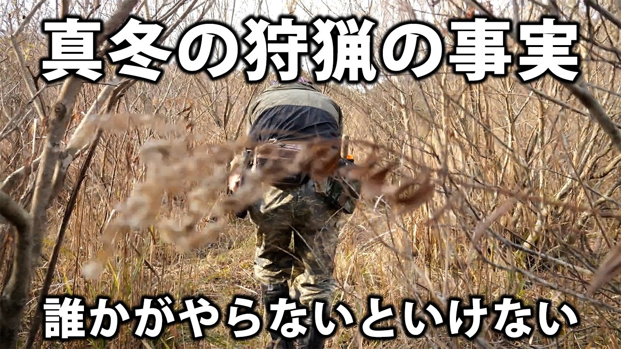 獣は山にいるだけではないです。街にも出てくる「獣害」