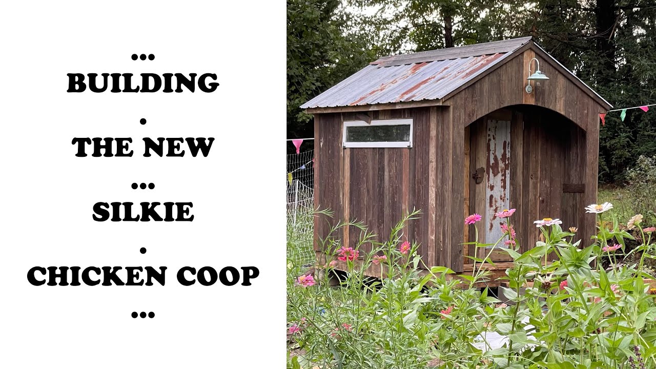 The New Silkie Chicken Coop!!