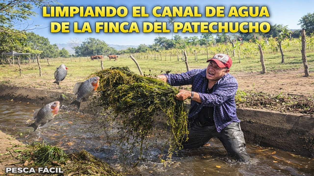 Asi LIMPIAN los CANALES DE AGUA en LA FINCA DEL PATECHUCHO en ZAPOTITAN