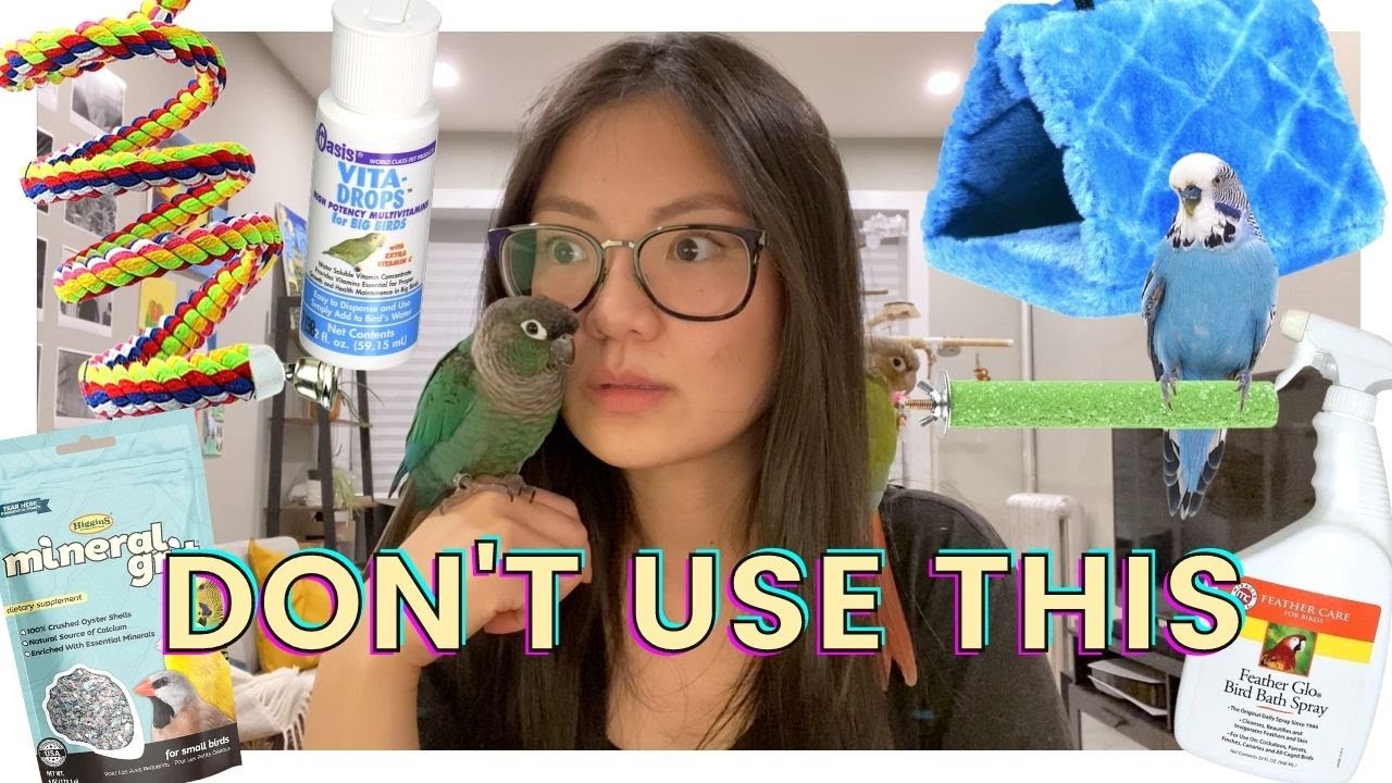 16 ПРОДУКТОВ ДЛЯ ПТИЦ, КОТОРЫХ СЛЕДУЕТ ИЗБЕГАТЬ!