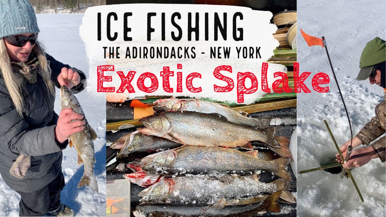 Ice Fishing for Exotic Splake Trout in the Adirondacks