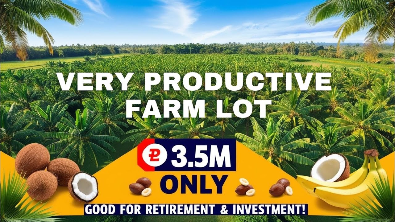 #0116 VERY PRODUCTIVE NA PROPERTY ITO | PUNONG PUNO NG TANIM | 4.5HAS #trending #fyp #foryou #nature