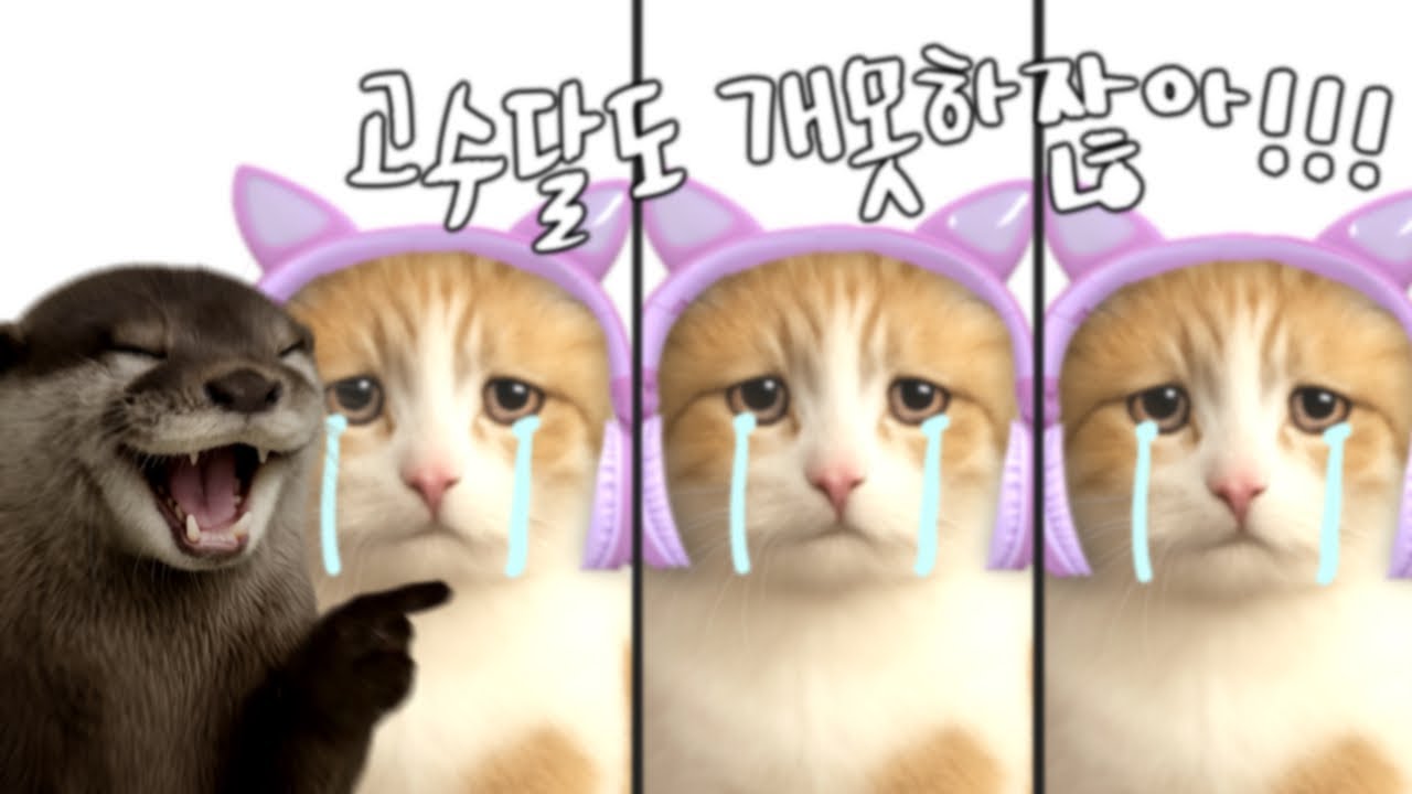 [발낳대] 막내사랑단