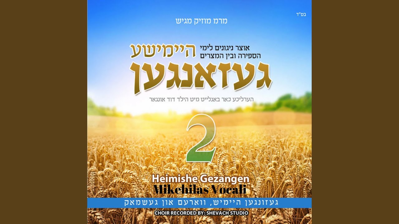 Yivuda Bagoyim